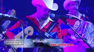 Los Terribles Del Norte - El Columpio En Vivo (2016) chords