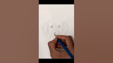 How to draw a puppy face 🐶 #easydrawingtutorial #cuteeasydrawings #dog #shorts