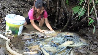 Survival Skills - Use a Pump To Suck Water Out Of The Lake - Girl Catching Many Big Fish