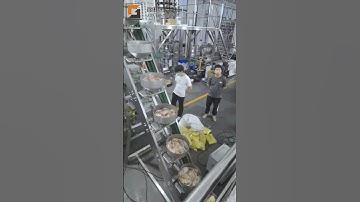 Frozen food packaging machine with bowl elevator