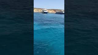 Мальта, голубая лагуна