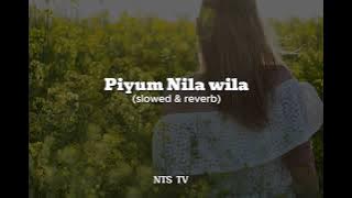 Piyum Nila Wila – Slowed   Reverb | Sinhala Chill Version | පියුම් නිල විල