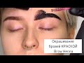 Окрашивание бровей КРАСКОЙ Brow Henna |  как правильно строить форму и подобрать оттенок