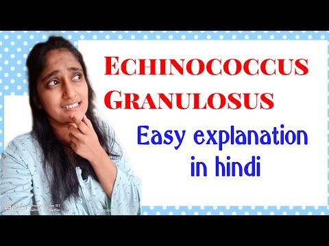 Echinococcus Granulosus morphology, Life cycle in hindi, Pathogenesis in hindi, Lab diagnosis