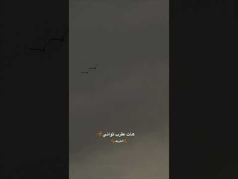 في احساس ماليني ظروف معنداني وائل جسار حالات واتساب