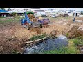 Amazing project perfect start trucks dumping soil into the pond with mitsubishi dozer pushing