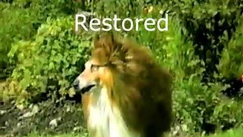 FUNAI TECHNICOLOR CVC RESTORED VIDEOTAPE