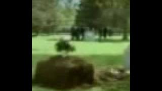 Rigors - Funny Videos 2009 [NEW HOT YOUTUBE FUNNIEST CLIPS].3gp