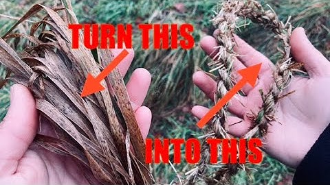 Natural Cordage! How to make ROPE from GRASS!