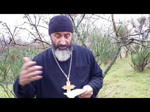 დეკანოზი გიორგი სხირტლაძე   ოქროს შუალედი