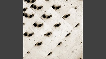 Then, What Followed.