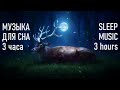 Deep Sleep &amp; Relaxation: Calming Music for Stress Relief and Better Sleep
