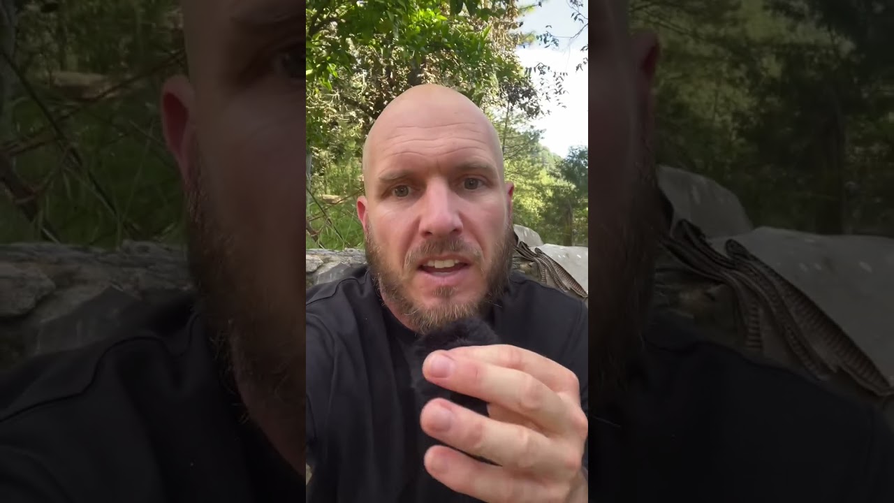 Your subconscious holds the answers - Freewriting Prompt pt. 50