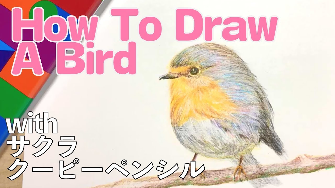 簡単 リアルな小鳥を描くwithサクラクーピーペンシル Youtube