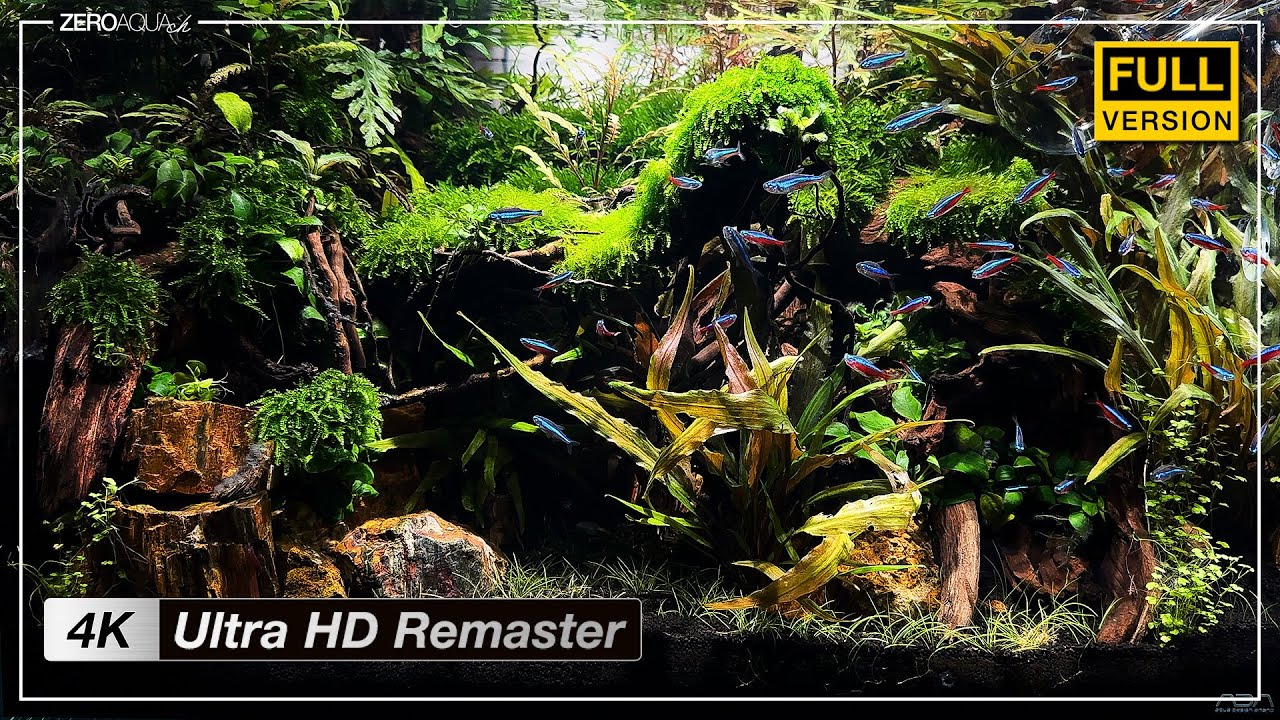 60cm水槽【太古の森】 立ち上げから完成まで - 4K Ultra HD Remaster Edition -　/アクアリウム/aquarium/60cm/vlog/