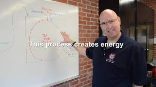 How the Krebs Cycle Works