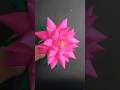 paper louts flower #diy #craft #subscribe #art #paperflower #flowers #youtubeshorts #trending