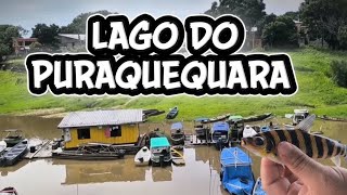 Download Lagu 🌅 LAGO DO PURAQUEQUARA: SITUAÇÃO ATUAL E UMA PESCARIA PRA ALIVIAR A MENTE MP3
