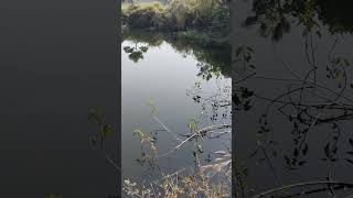 Badhiya Mein Marela Bada Machhali