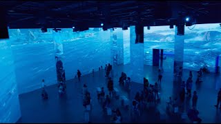 The Art of &quot;Avatar: The Way of Water&quot; - An Immersive Experience