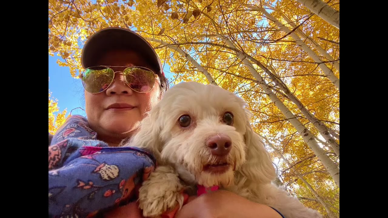 Edworthy Park in Fall 2020