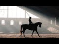 Dynamite || Equestrian music video