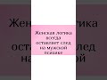 Шутка смех