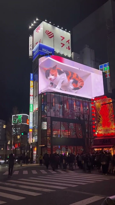 TOKYO EDIT || Sleepwalker