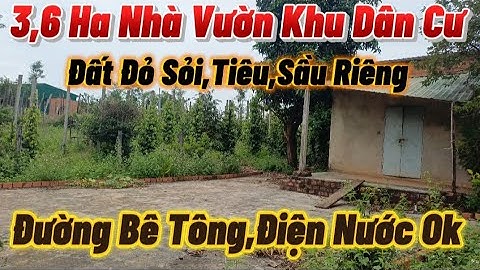 Nhà Vườn 3,6 Ha Đất Đỏ Sỏi Khu Dân Cư Ôm Đường Bê Tông Giá Hợp Lý Điện Nước Vi Vu 