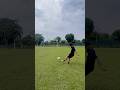 Dribbling X Finishing ⚽️⚡️ #k7straining #kunal7soccer #asmrfootball #finishingdrill#dribbling#soccer