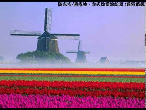 [簡譜]陶喆+蔡依林 - 今天妳要嫁給我(附歌詞 和弦) - 陶喆+蔡依林