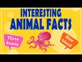 Interesting Animal Facts: We Bet You Didn’t Know! | Animal Facts for Kids