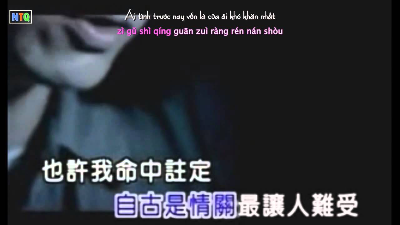 Video YouTube
