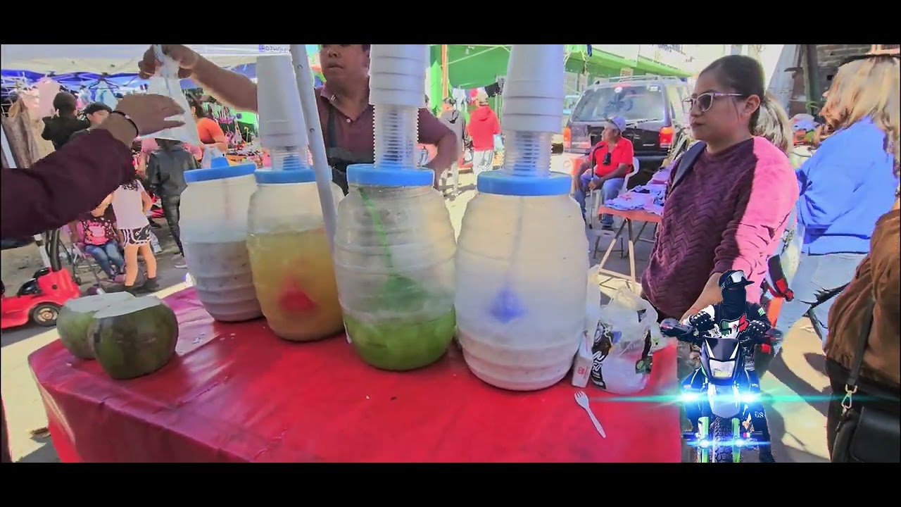 UN DIA EN EL TIANGUIS DE PONCITLAN,JALISCO