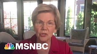 Famous Sen. Warren Says It's 'Time To Step Up' Government Response To Crises | MSNBC Wealth