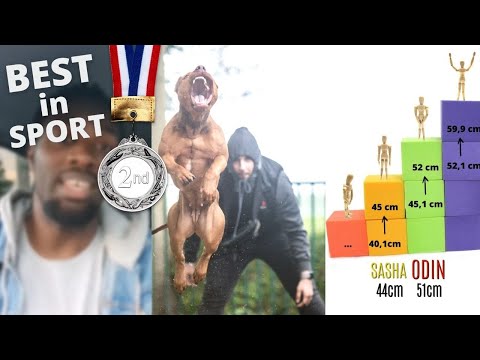 Video: Hoe Een Sportcompetitie Een Naam Te Geven?