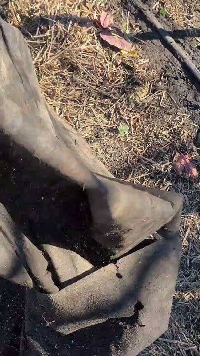 Агроспан Гекса, плотность 60, спустя 4 года эксплуатации#shorts - YouTube