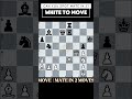 Only ONE Move Wins… Can You Find White’s Mate in 2? ♟️ #chessgame #trending #shortvideo