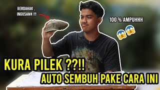 CARA MENGATASI KURA KURA SAKIT FLU