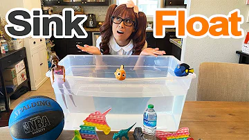 Sink or Float? | Science Experiments for Kids