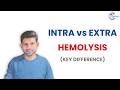 Intravascular vs Extravascular Hemolysis – Key Differences for Exams
