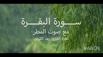 سورة البقرة بصوت القارئ رعد الكردي مع صوت المطر