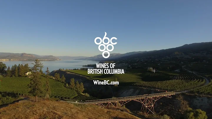 BC Wines In Fall – Harvest Preview - 天天要聞