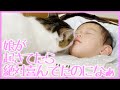 ぐっすり眠る娘が気になる猫ちゃん