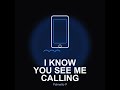 Palmetto P - I KNOW YOU SEE ME CALLING (Official Audio)