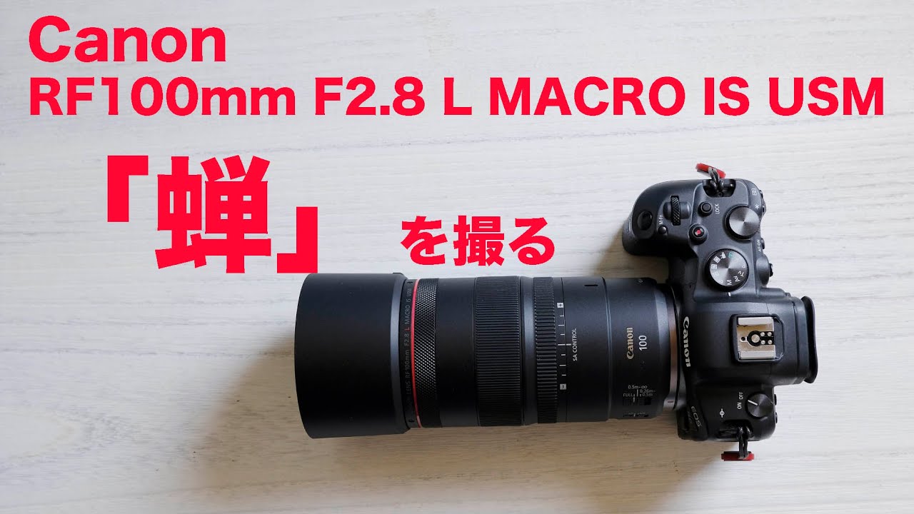 ❁動作良好❁CANON MACRO EF 100mm F2.8 USM Canon EF 100mm f/2.8L Macro IS USM Lens 3554B002 - Adorama