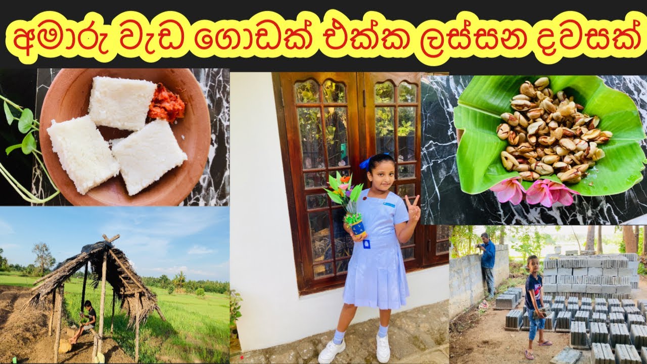 කොස් ඇට වලින් මේ තරම් රස කෑමක් |jackfruit seed bites day vlog #vlogger #dayvlog#mydiary#kosatarecipe