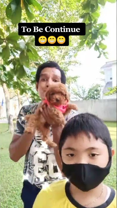 Senang ada si Moci 🤗☺️🤭#fyp #beranda #tiktokpapua #jakarta #ambontiktok #kupang #papuatiktok #papu