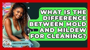 What Is The Difference Between Mold And Mildew For Cleaning? - Homekeeping Handbook