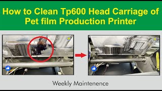 TP600 Pet film Printer Carriage cleaning (Printer Maintenance). Its very use full in DTF Printing.